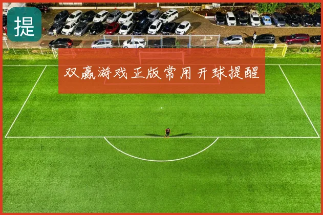 双赢游戏正版常用开球提醒